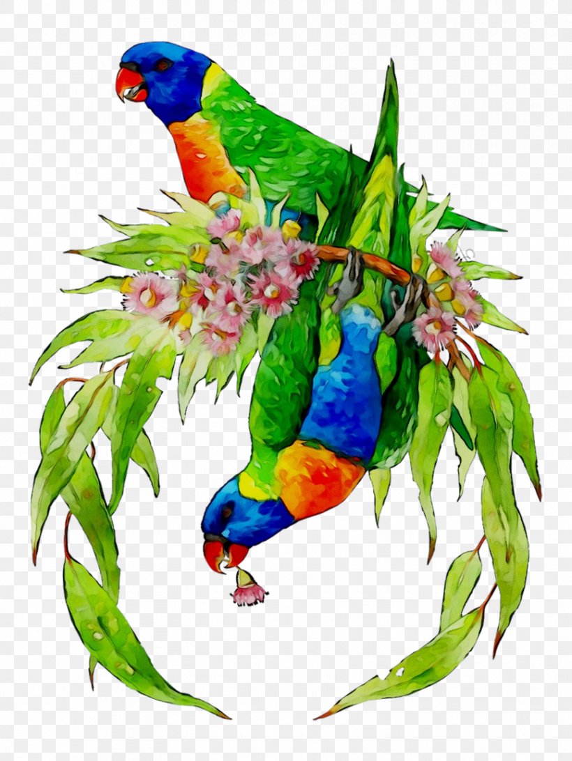 Lovebird Macaw Loriini Parakeet Feather, PNG, 866x1154px, Lovebird, Beak, Bird, Budgie, Feather Download Free