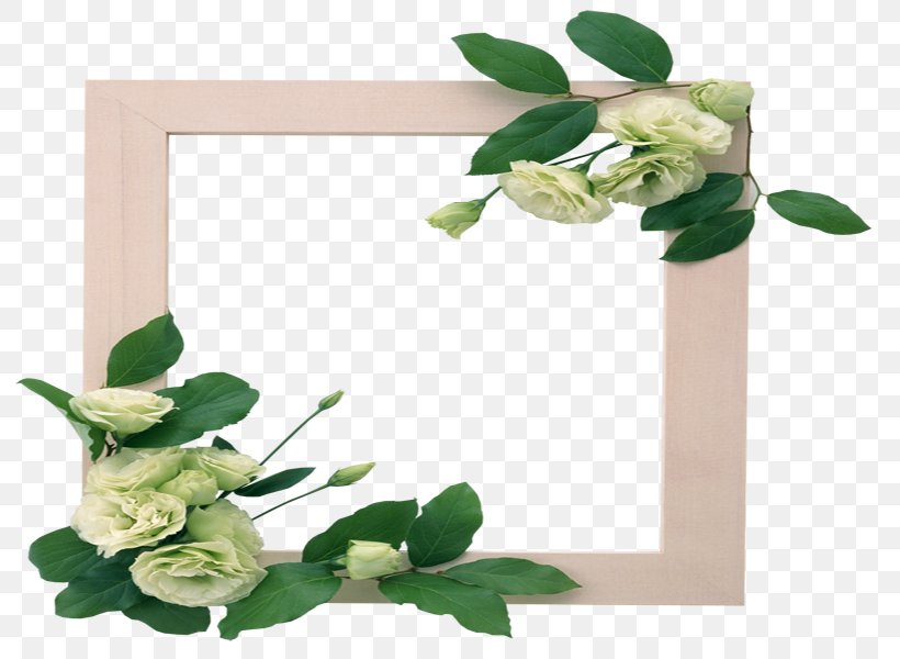 Picture Frames Flower Paper, PNG, 800x600px, Picture Frames, Cut Flowers, Digital Image, Floral Design, Flower Download Free