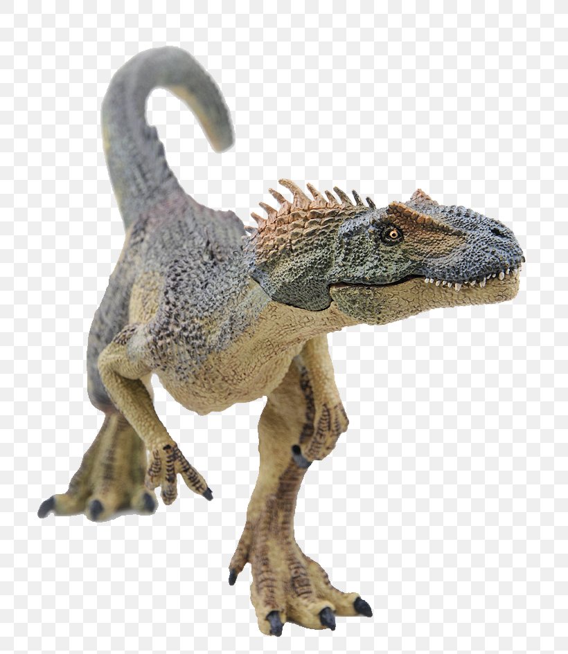Tyrannosaurus Velociraptor Dinosaur Allosaurus Animal, PNG, 739x945px, Tyrannosaurus, Allosaurus, Animal, Dinosaur, Extinction Download Free