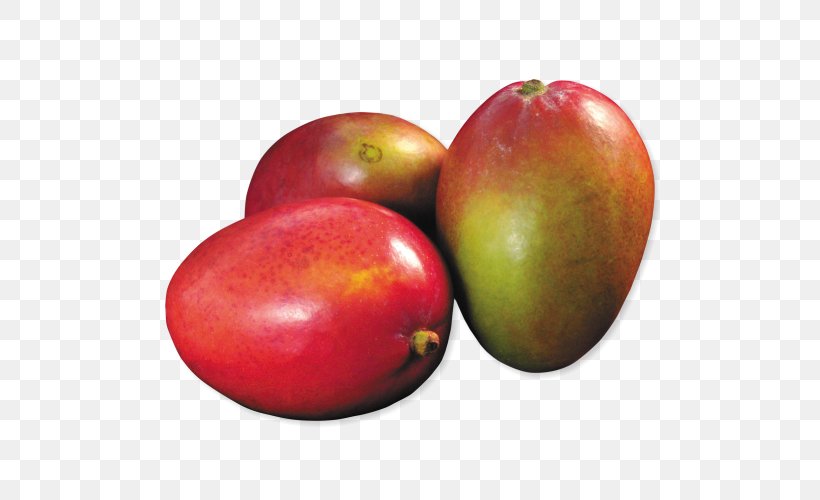 Accessory Fruit Food Biology Mango, PNG, 500x500px, Accessory Fruit, Apple, Biology, Food, Fruit Download Free
