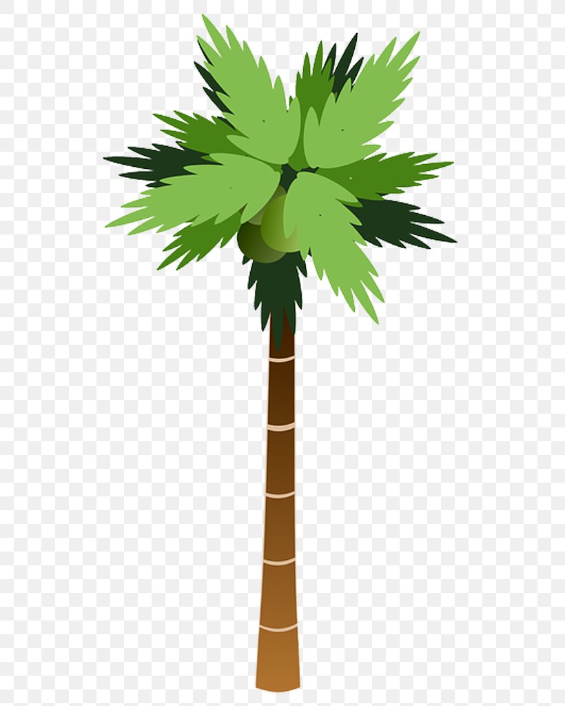 Arecaceae Tree Coconut Clip Art, PNG, 527x1024px, Arecaceae, Arecales, Asian Palmyra Palm, Borassus Flabellifer, Cartoon Download Free