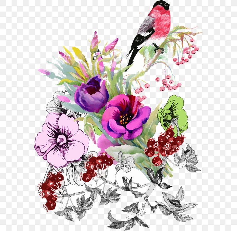 Bird Flower Watercolor Painting Drawing, PNG, 586x800px, Bird, Art, Blossom, Branch, Color Download Free