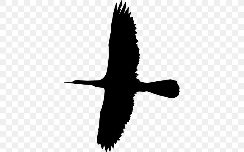 Bird Flight Cygnini, PNG, 512x512px, Bird, Beak, Black And White, Cygnini, Drawing Download Free