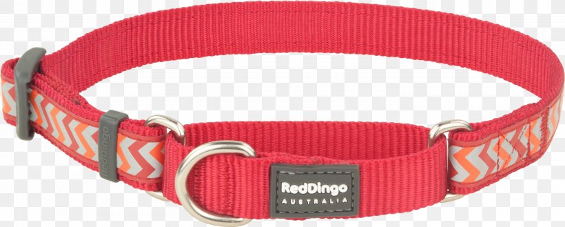 Dog Collar Dingo Martingale, PNG, 3000x1204px, Dog, Belt Buckle, Belt Buckles, Collar, Dingo Download Free