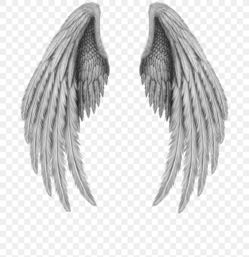 Drawing Clip Art, PNG, 700x846px, Wing, Art, Black And White, Data, Drawing Download Free