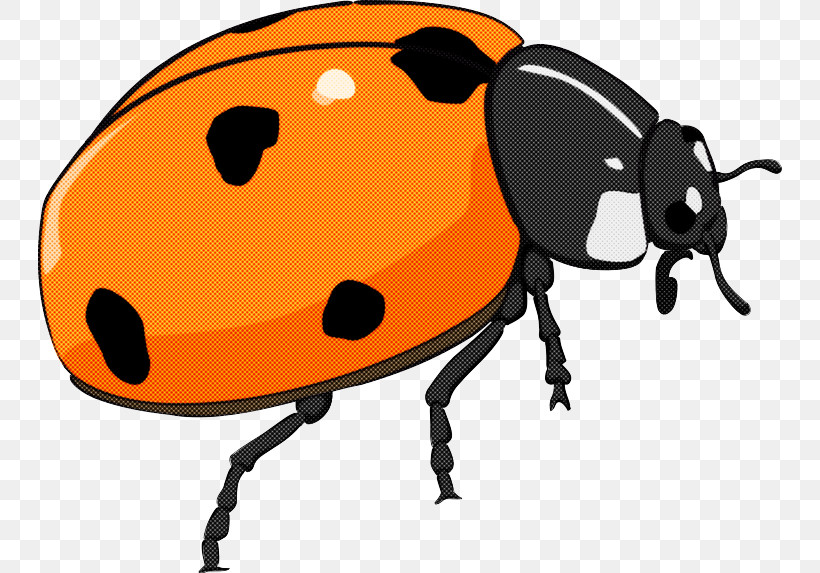 Ladybug, PNG, 744x573px, Insect, Beetle, Blister Beetles, Darkling Beetles, Ladybug Download Free