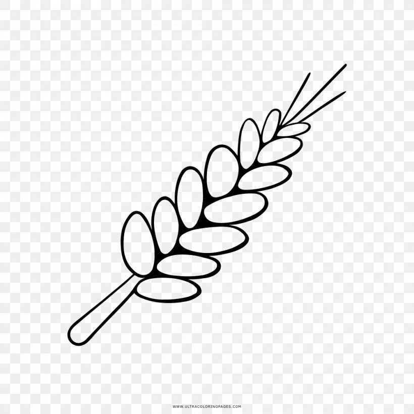 Drawing Coloring Book Wheat Ear, PNG, 1000x1000px, Drawing, Area, Artwork, Barley, Black Download Free