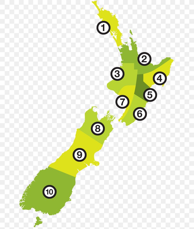 EcoZip Adventures South Island Book More Of The World’s Best Drinking Jokes The Gap Yah Plannah, PNG, 660x967px, Ecozip Adventures, Area, Author, Book, Ebook Download Free