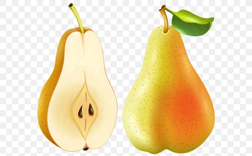 Pear Amygdaloideae Food Clip Art, PNG, 600x509px, Pear, Accessory Fruit, Amygdaloideae, Apricot, Diet Food Download Free