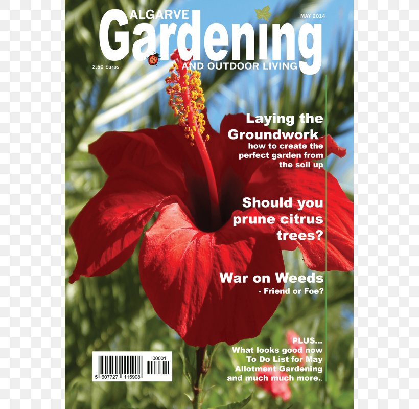 Shoeblackplant Mediterranean Gardening: A Waterwise Approach Horticulture, PNG, 800x800px, 2016, Shoeblackplant, Bougainvillea, Canna Lily, China Rose Download Free