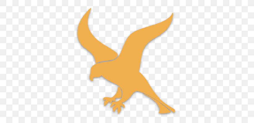 Web Framework Logo Falcon Software Framework Beak, PNG, 400x400px, Web Framework, Animal Figure, Beak, Bird, Bird Of Prey Download Free