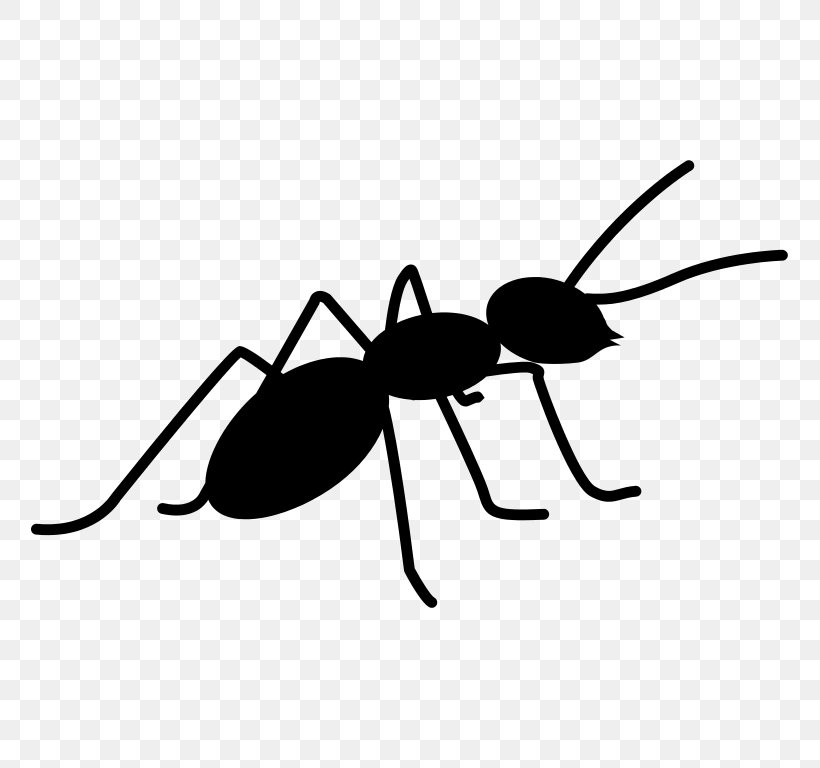 Pharaoh Ant Clip Art, PNG, 768x768px, Ant, Abiword, Apache Ant, Arthropod, Black And White Download Free