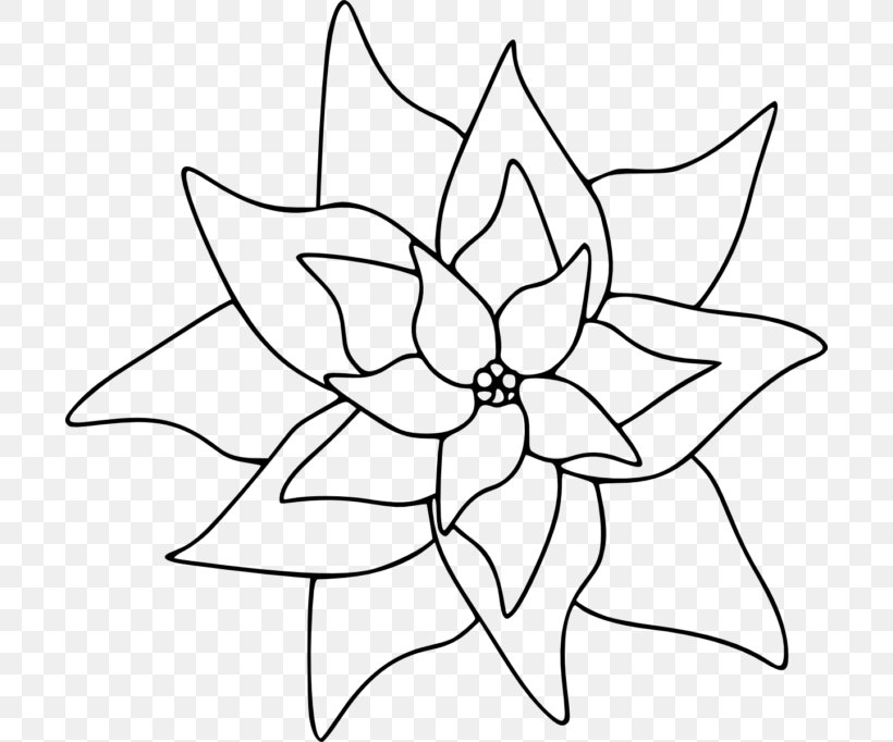 Poinsettia Coloring Book Flower, PNG, 700x682px, Poinsettia, Adult, Area, Artwork, Black And White Download Free