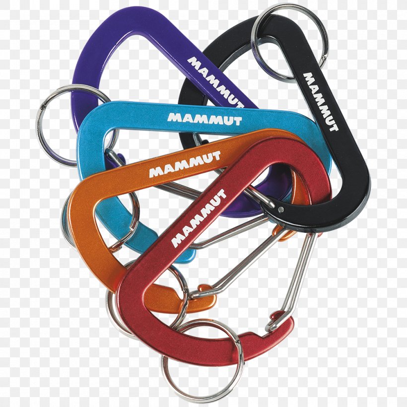 Mammoth Carabiner Key Chains Climbing Mammut Sports Group, PNG, 1000x1000px, Mammoth, Carabiner, Climbing, Fashion Accessory, Key Chains Download Free