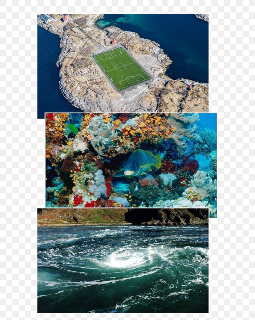Sea Water Resources Health Coral Reef Australia, PNG, 600x1028px, Sea, Australia, Book, Calcium, Coastal And Oceanic Landforms Download Free