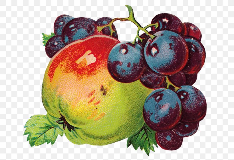 Common Grape Vine Berry Fruit Decoupage, PNG, 699x563px, Grape, Apple, Auglis, Berry, Common Grape Vine Download Free