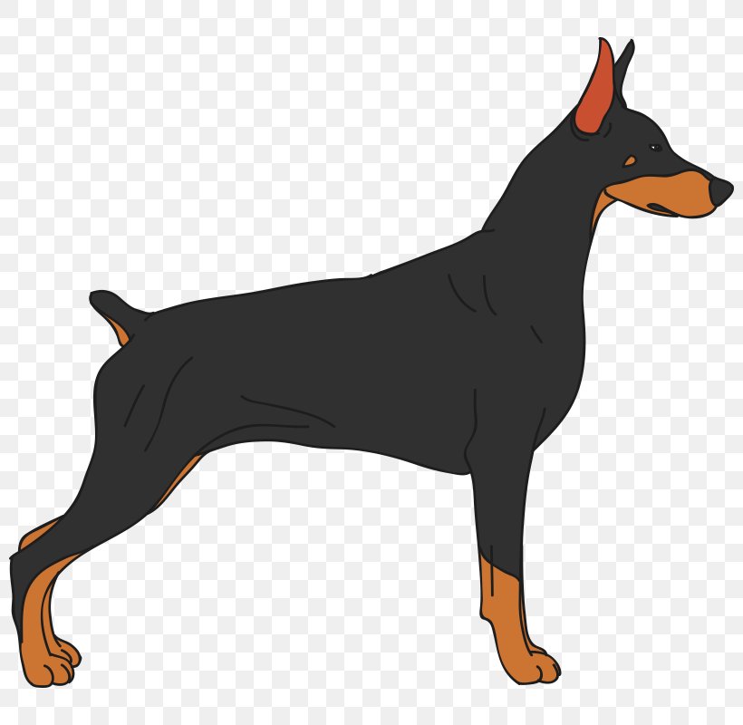 Dobermann Miniature Pinscher Puppy Cat, PNG, 800x800px, Dobermann, Bark, Carnivoran, Cat, Dog Download Free