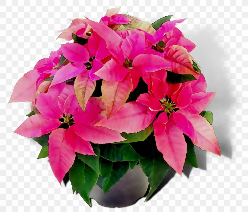 Floral Design Cut Flowers Pink M, PNG, 1685x1440px, Floral Design, Annual Plant, Artificial Flower, Bougainvillea, Bouquet Download Free
