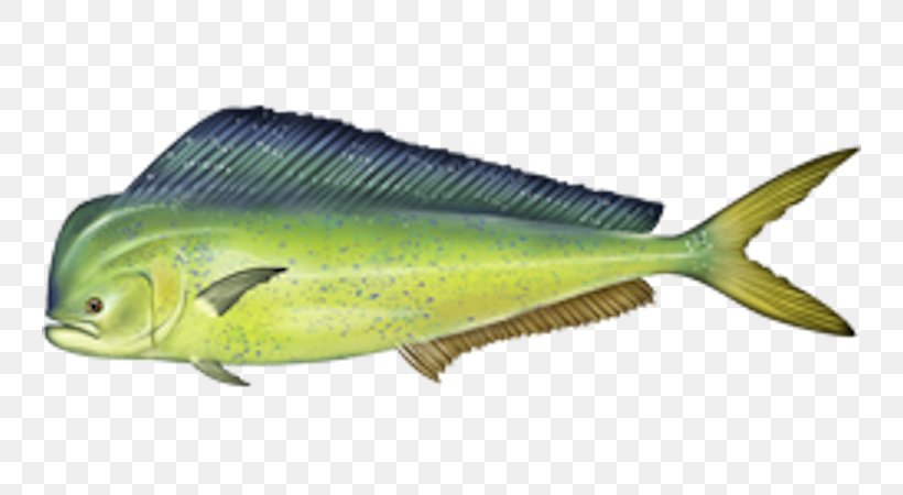 Mahi-mahi Fishing Recreational Fishing Game Fish, PNG, 744x450px, Mahimahi, Biggame Fishing, Cod, Coryphaena, Fauna Download Free