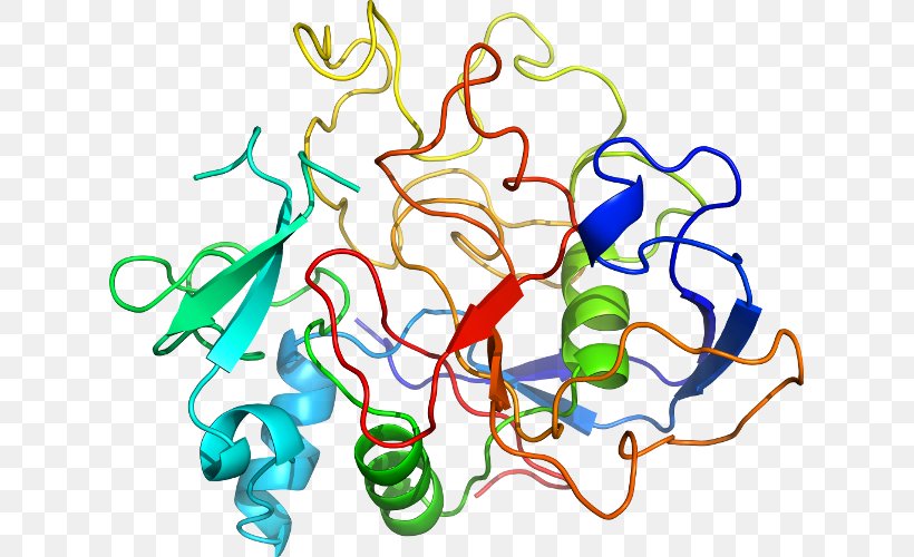 Sulfatase SUMF1 Gene Protein Enzyme, PNG, 623x500px, Sulfatase, Area, Artwork, Catalysis, Cysteine Download Free