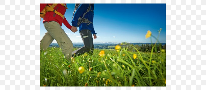 Wandertrilogie Allgäu Long-distance Trail Hiking Eiger, PNG, 720x360px, Longdistance Trail, Ecosystem, Eiger, Energy, Field Download Free