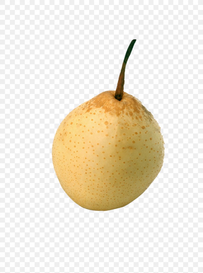 Asian Pear Pyrus Xd7 Bretschneideri Download, PNG, 864x1164px, Asian Pear, Apple, Cartoon, Food, Fruit Download Free