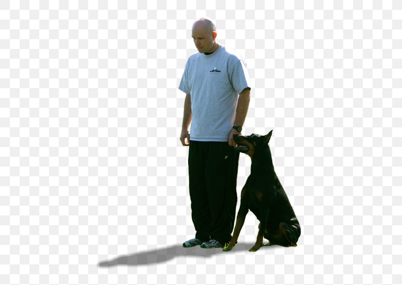 Dog Breed Obedience Training Education Leash, PNG, 460x582px, Dog Breed, Breakfast, Breed, Cafe, Dog Download Free