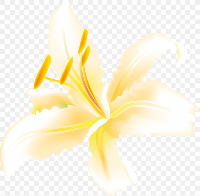 Flowering Plant Petal Desktop Wallpaper Flowering Plant, PNG, 1200x1175px, Flower, Close Up, Closeup, Computer, Flowering Plant Download Free