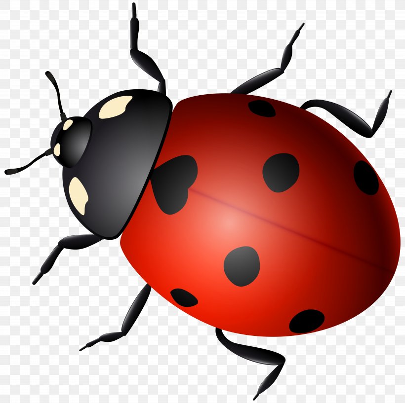 Ladybird Beetle Clip Art, PNG, 8000x7979px, Ladybird, Arthropod, Beetle, Biological Life Cycle, Child Download Free