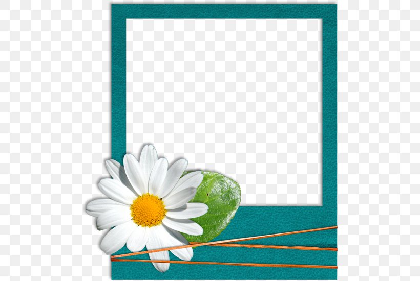 Paper Gift Picture Frame, PNG, 500x550px, Paper, Dahlia, Daisy, Daisy Family, Flora Download Free