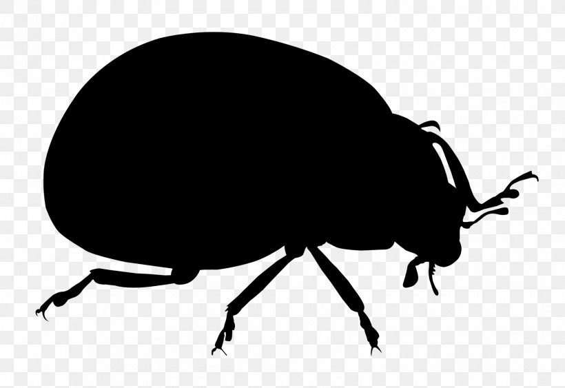 Weevil Dung Beetle Clip Art Silhouette, PNG, 1700x1168px, Weevil, Arthropod, Beetle, Blister Beetles, Cow Dung Download Free