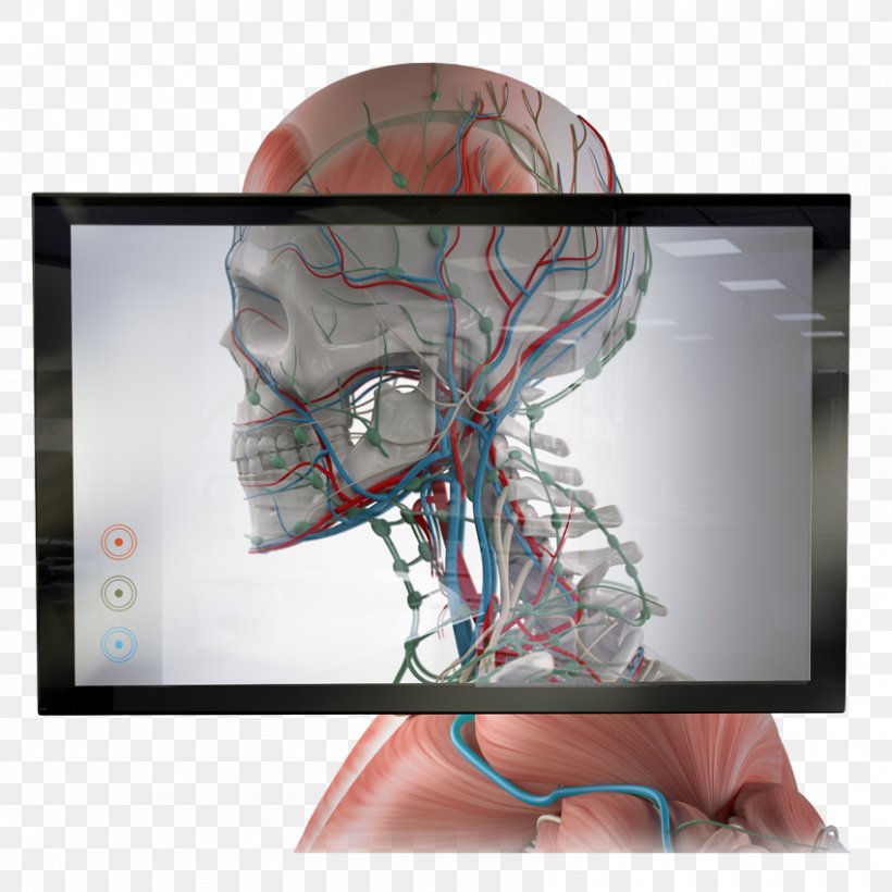Augmented Reality Extended Reality Virtual Reality X Reality, PNG, 850x850px, Augmented Reality, Extended Reality, Industry 40, Jaw, Medical Download Free