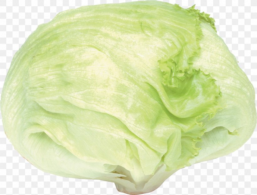 Cabbage Romaine Lettuce Butterhead Lettuce Cauliflower Kale, PNG, 2349x1785px, Cabbage, Brassica Oleracea, Butterhead Lettuce, Cauliflower, Cruciferous Vegetables Download Free
