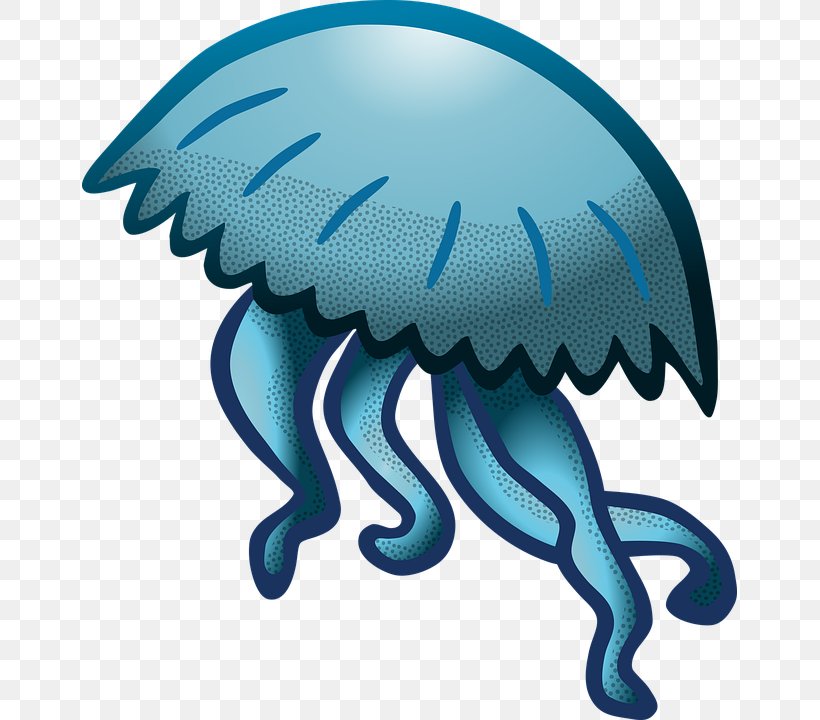 Download Clip Art, PNG, 655x720px, Jellyfish, Artwork, Claw, Copyright, Drawing Download Free