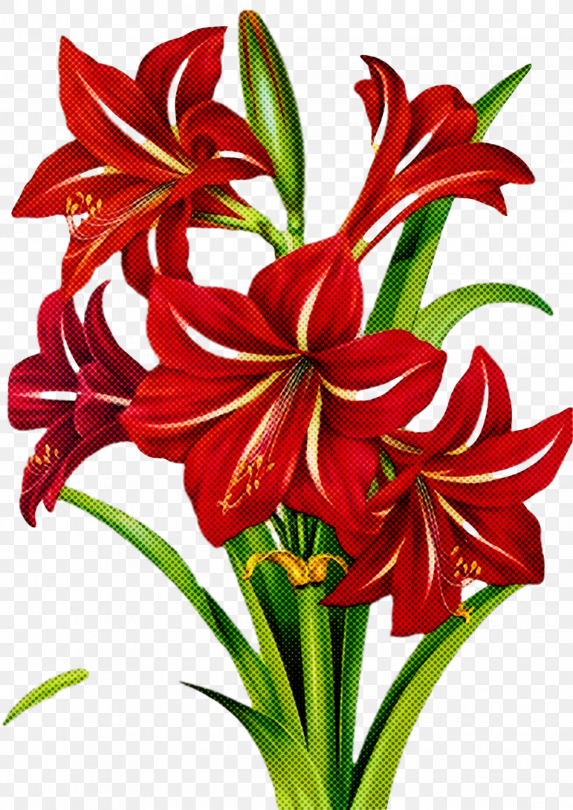 Floral Design, PNG, 1018x1440px, Cut Flowers, Amaryllis, Chrysanthemum, Daylilies, Floral Design Download Free