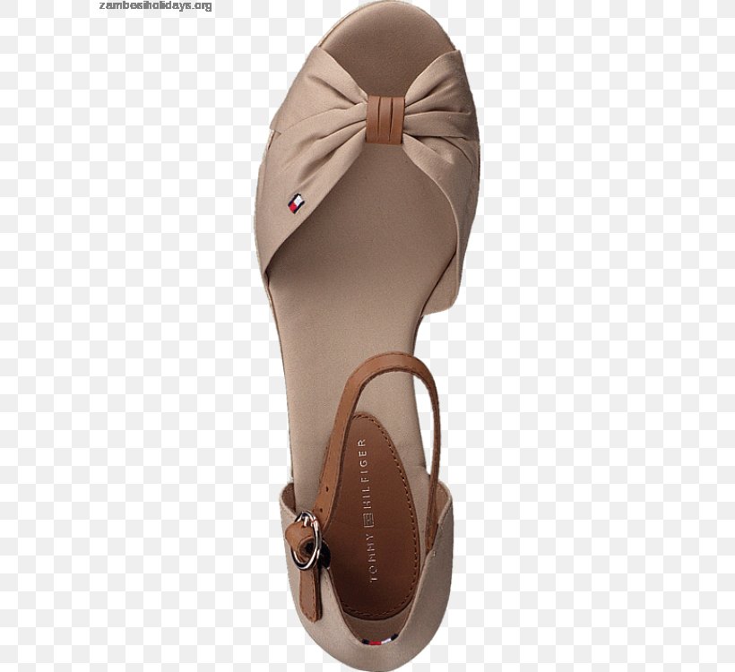 Sandal Shoe, PNG, 600x750px, Sandal, Beige, Brown, Footwear, Shoe Download Free