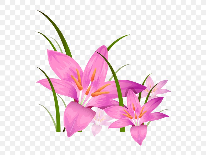 Animation Photography Illustration, PNG, 650x616px, Animation, Can Stock Photo, Crocus, Cut Flowers, Flora Download Free