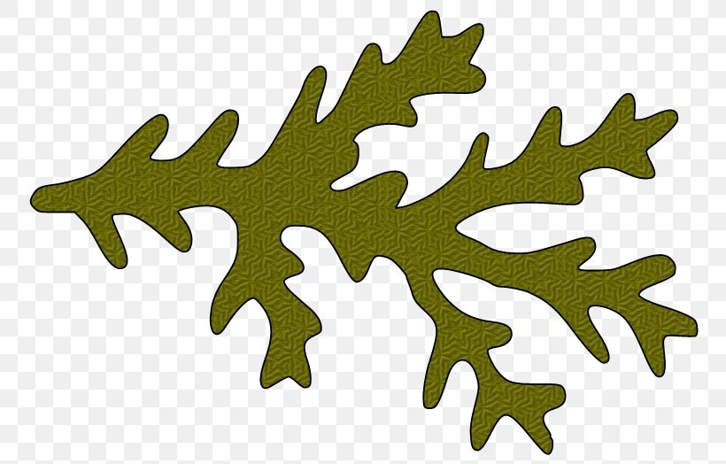 Branch Tree Leaf Clip Art, PNG, 776x524px, Branch, Autocad Dxf, Conifer Cone, Cricut, Drawing Download Free