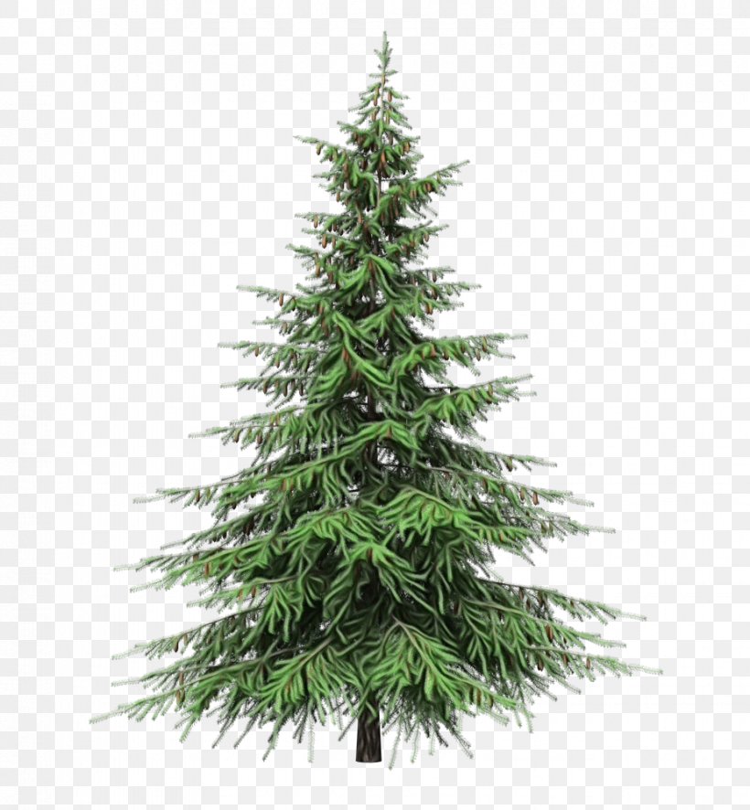 Christmas Tree, PNG, 925x1000px, Watercolor, Balsam Fir, Canadian Fir, Christmas Tree, Colorado Spruce Download Free