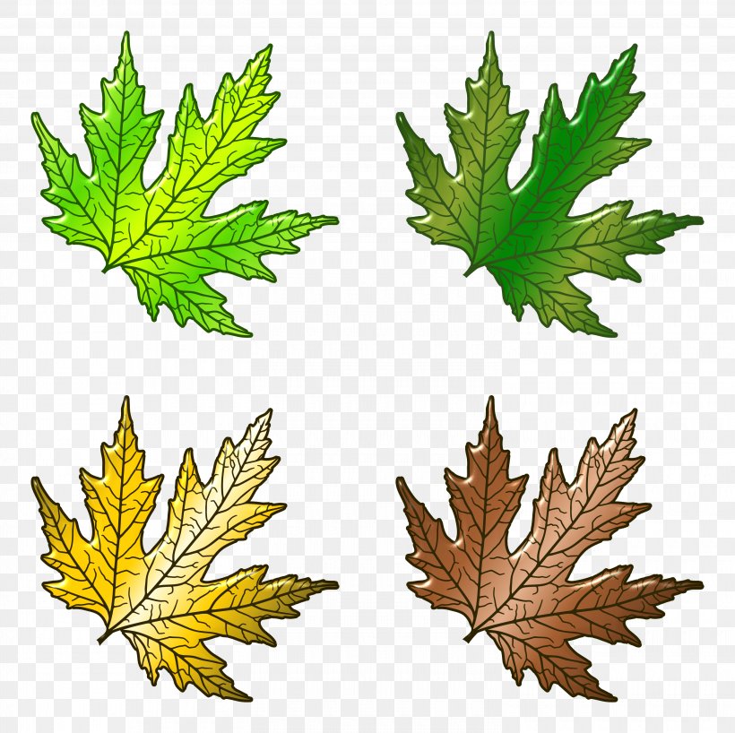 Leaf Design Adobe Photoshop Image, PNG, 3000x2994px, Leaf, Cartoon, Color, Computer Software, Image Resolution Download Free