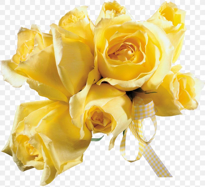 Animation Yellow Photography Blingee, PNG, 1200x1093px, Animation, Blingee, Cut Flowers, Electronics, Email Download Free