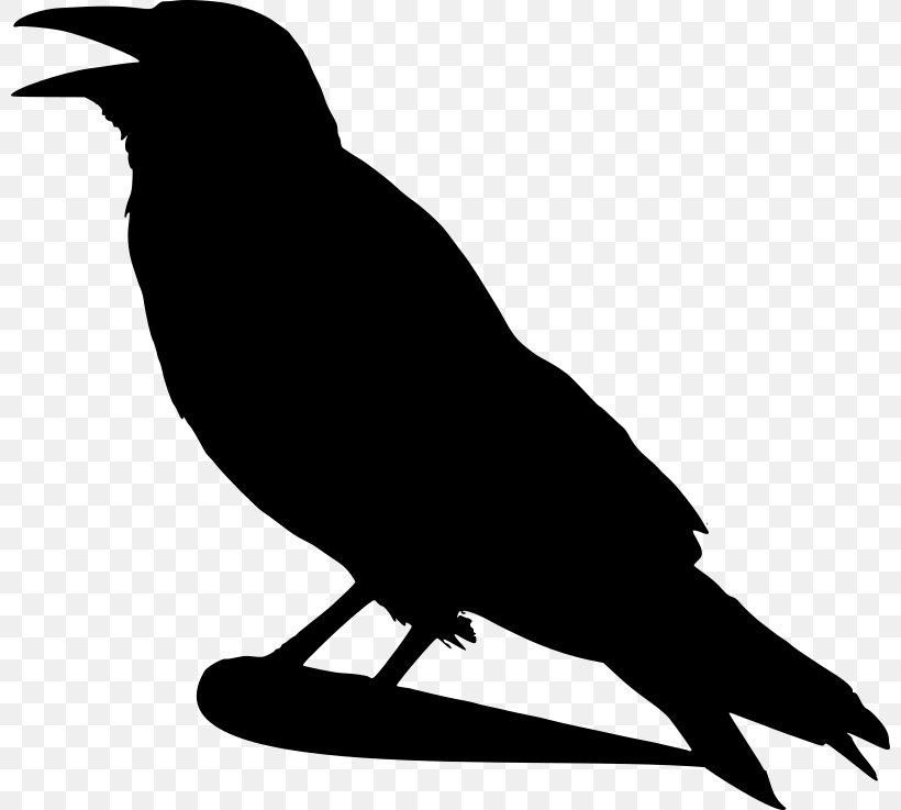 Bird Crow Silhouette Clip Art, PNG, 800x737px, Bird, American Crow, Art, Beak, Black And White Download Free