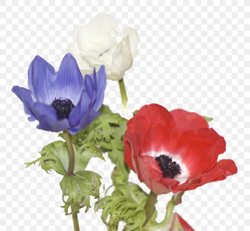 Cut Flowers Floral Design Artificial Flower Flower Bouquet, PNG, 2163x2000px, Cut Flowers, Anemone, Anemone Apennina, Artificial Flower, Blue Download Free