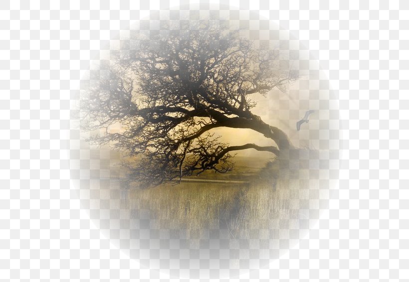 Desktop Wallpaper Painting Branch, PNG, 600x566px, Painting, Atmosphere, Author, Branch, Computer Download Free