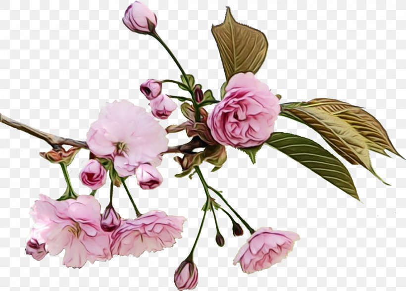 Flower Flowering Plant Cut Flowers Plant Pink, PNG, 1141x819px, Watercolor, Blossom, Branch, Cut Flowers, Flower Download Free
