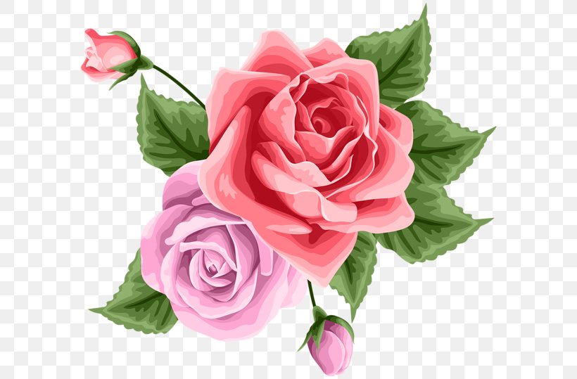 Garden Roses Cabbage Rose Floribunda Cut Flowers Floral Design, PNG, 600x539px, Garden Roses, Artificial Flower, Cabbage Rose, Cut Flowers, Floral Design Download Free