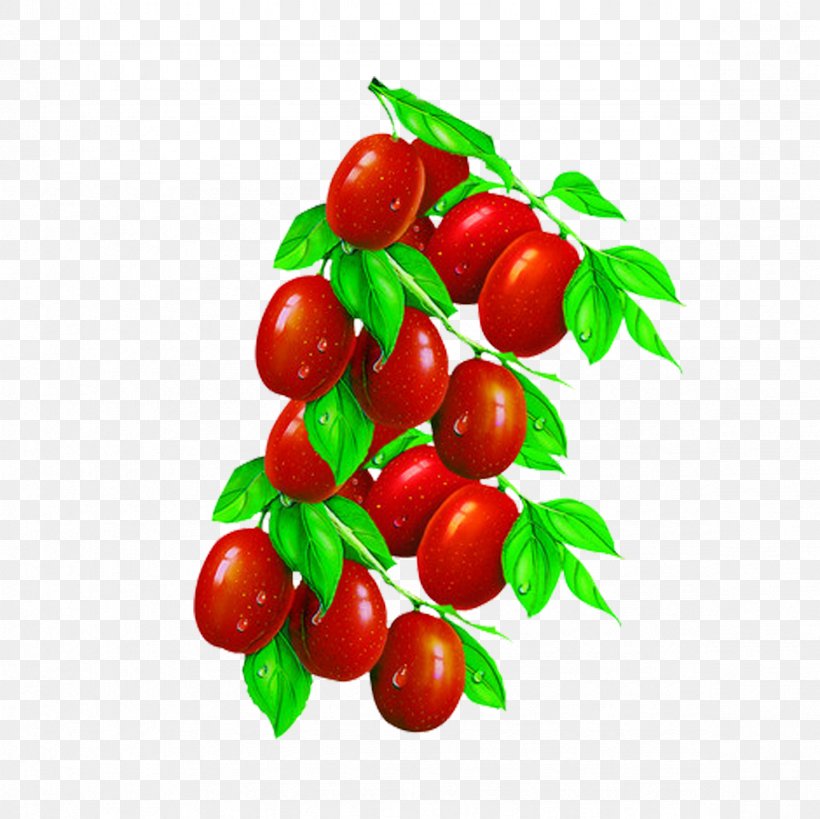 Jujube Tea Barbados Cherry Food, PNG, 2362x2362px, Jujube, Acerola, Acerola Family, Barbados Cherry, Berry Download Free