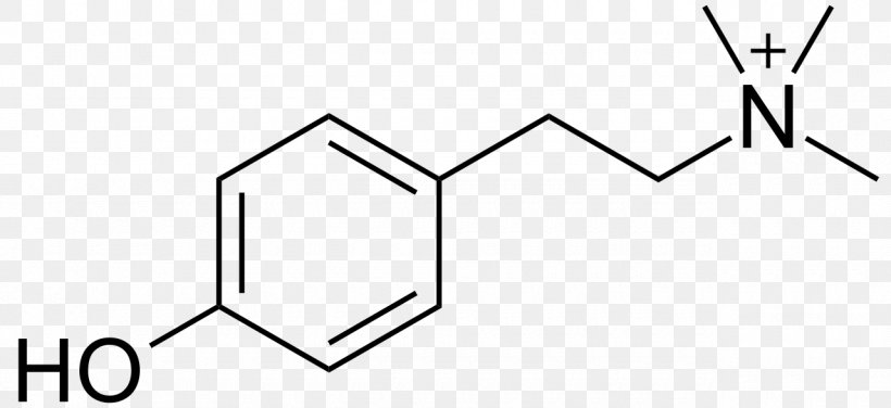 Norpholedrine N-Methyltyramine Intravenous Therapy, PNG, 1280x588px, Tyramine, Adrenaline, Albuterol, Area, Black Download Free