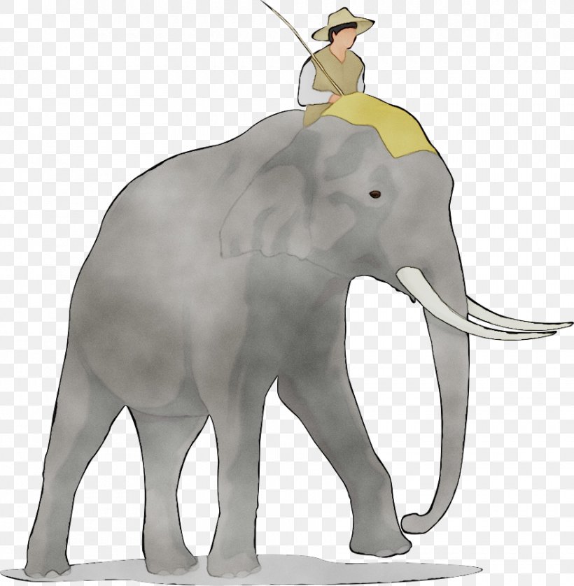 Asian Elephant African Bush Elephant Clip Art Vector Graphics, PNG, 880x900px, Asian Elephant, African Bush Elephant, African Elephant, Animal Figure, Drawing Download Free
