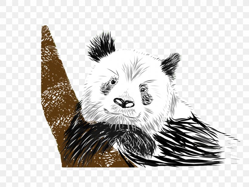 Bear Giant Panda Drawing, PNG, 1200x900px, Bear, Art, Black And White, Carnivoran, Dog Like Mammal Download Free